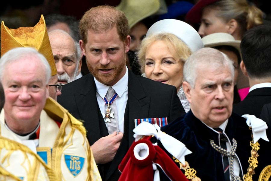 Image of Princes Harry and Andrew 