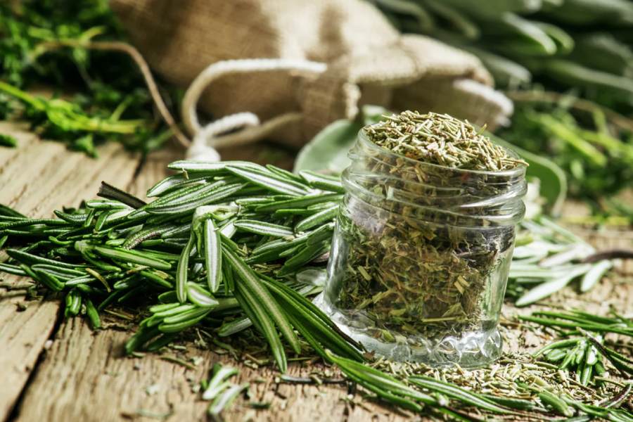 rosemary is important for hair 