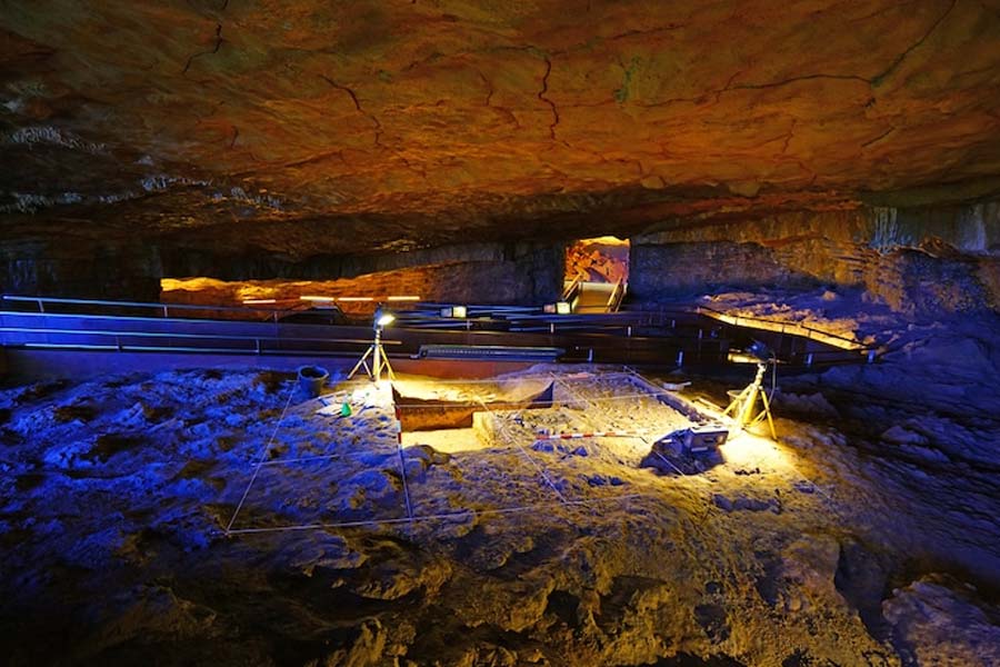 image of altamira cave 