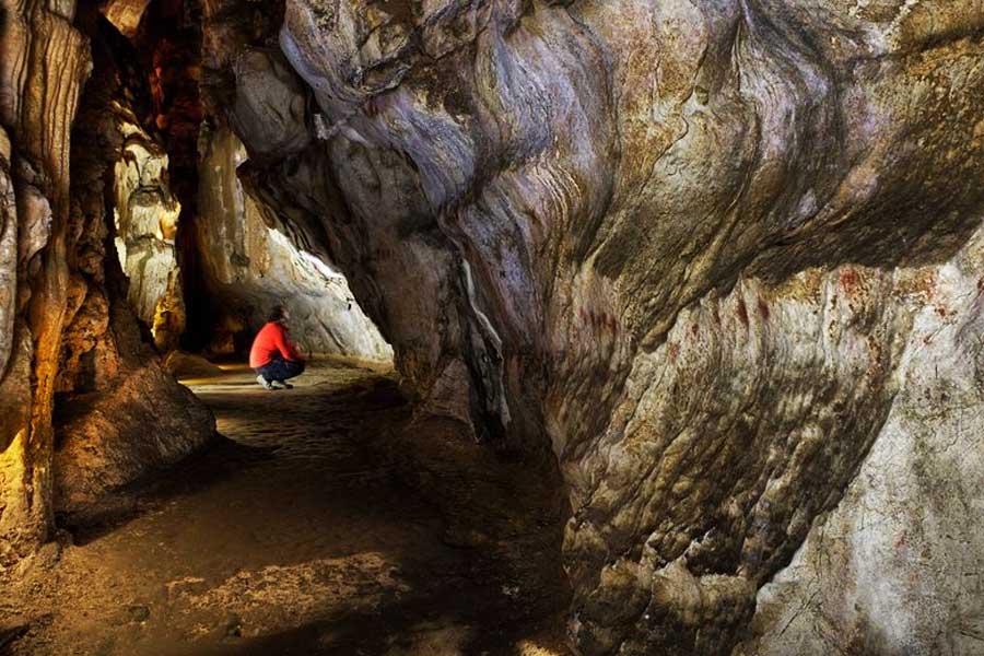 image of altamira cave 