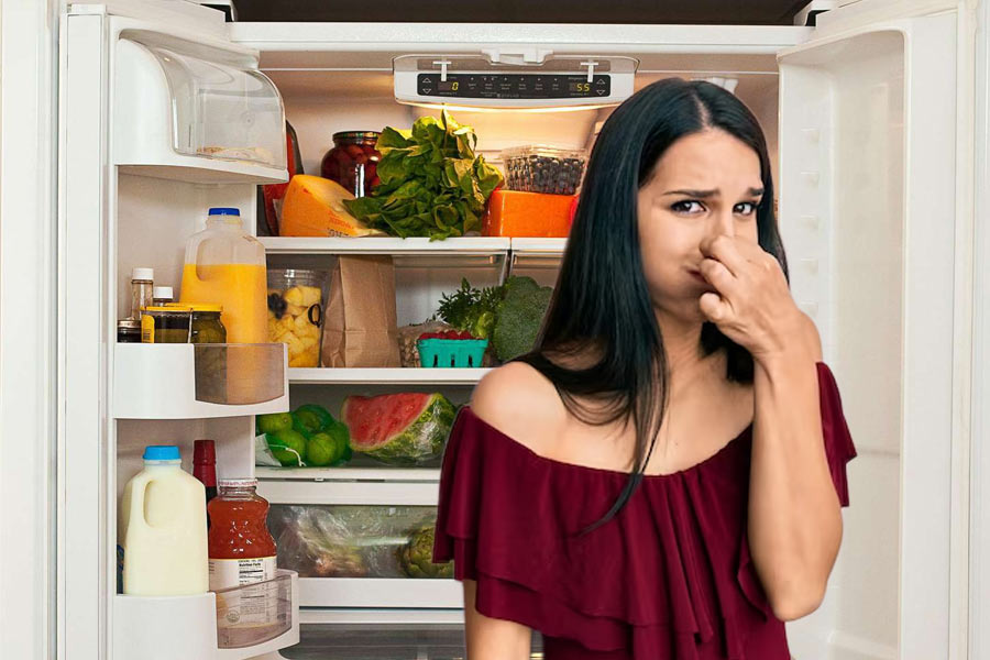 Image of stinking fridge.