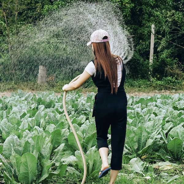 ২২ বছরের বিদুষী রাম্যা আর। তামিলনাড়ুর সালেমের সক্করাচেত্তিপত্তি গ্রামের বাসিন্দা তিনি। রাম্যার বাবা-মা দু’জনেই কৃষিকাজের সঙ্গে যুক্ত।