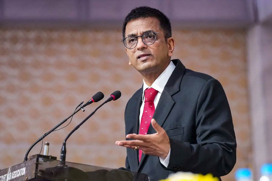 শেষমেশ রাজ্যকে সুপ্রিম কোর্ট নির্দেশ দেয়, সিনেমার প্রযোজক এবং হল মালিকদের ২০ লক্ষ টাকা জরিমানা দিতে হবে।  মতপ্রকাশ এবং বাক্স্বাধীনতা লঙ্ঘনের জন্য এই নির্দেশ বলে জানায় বিচারপতি ডিওয়াই চন্দ্রচূড়ের ডিভিশন বেঞ্চ।