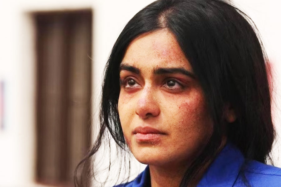 How much the casting cost in The Kerala Story which is a low budget film.