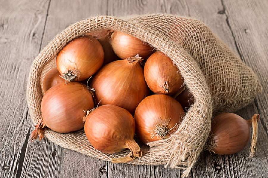 Prevent Onions from Sprouting How to prevent onions from sprouting in the summer dgtl