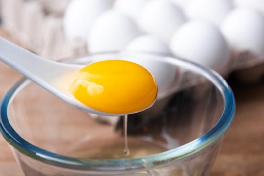 Egg Yolk