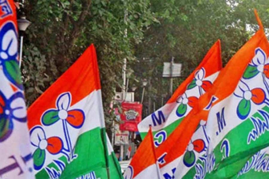 Picture of TMC party flag