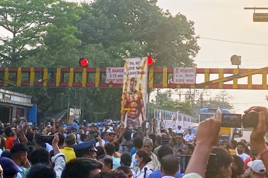 image of Salman's cutout