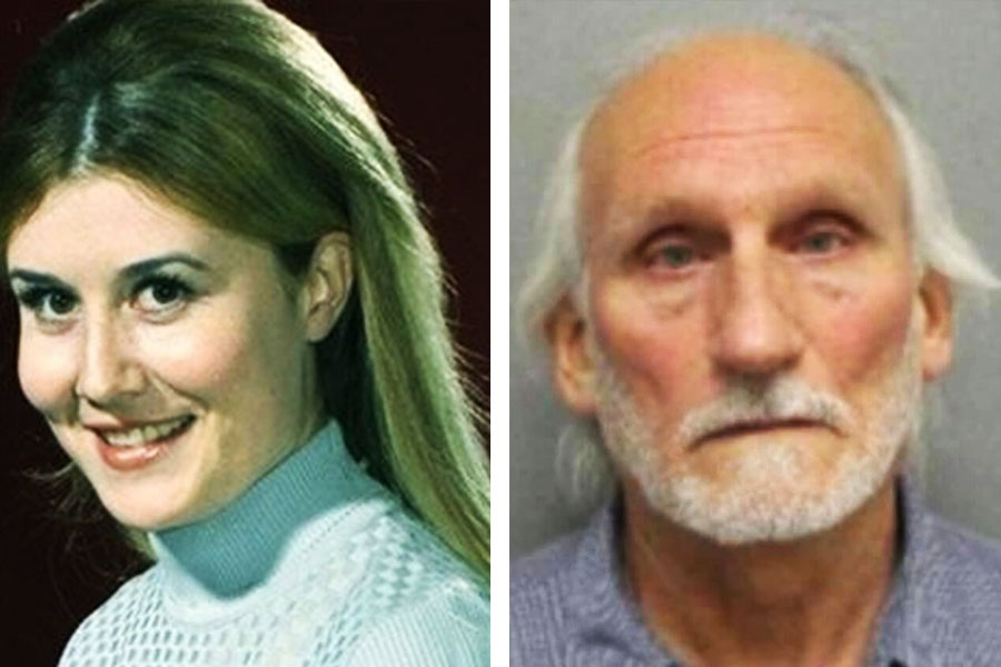 ১৯৮১ সালের ৪ অগস্ট নিজের বাড়িতে খুন হয়েছিলেন ৩৪ বছরের সিলভিয়া। তার আগে চলেছিল যৌন নিগ্রহ। অবশেষে তাঁর খুনে গ্রেফতার করা হয় ডেভিড ডয়িন আন্ডারসনকে। এখন তাঁর বয়স ৬২ বছর।