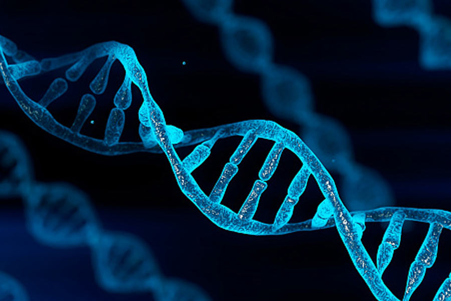 ৪০ বছর পর সেই ডিএনএর নমুনাই মিলিয়ে দিল ডেভিডকে। হাতেনাতে ধরা পড়লেন তিনি। সিলভিয়ার বোন সাংবাদিক বৈঠক করে জানিয়েছিলেন, পুলিশের এই পদক্ষেপে তিনি খুশি। অবশেষে তাঁর দিদির আত্মা শান্তি পেল।