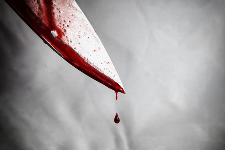 ময়নাতদন্তের রিপোর্টে জানা গিয়েছিল, অতিরিক্ত রক্তক্ষরণই মৃত্যুর কারণ। গুলি মৃত্যুর প্রাথমিক কারণ নয়। রান্নাঘর থেকে ছুরি এনে খুন করা হয়েছিল সিলভিয়াকে। তাঁর নখগুলি উপড়ে নেওয়া হয়েছিল। পুলিশের অবশ্য অনুমান ছিল, বাধা দিতে গিয়েই নখ ভেঙে গিয়েছিল তাঁর।