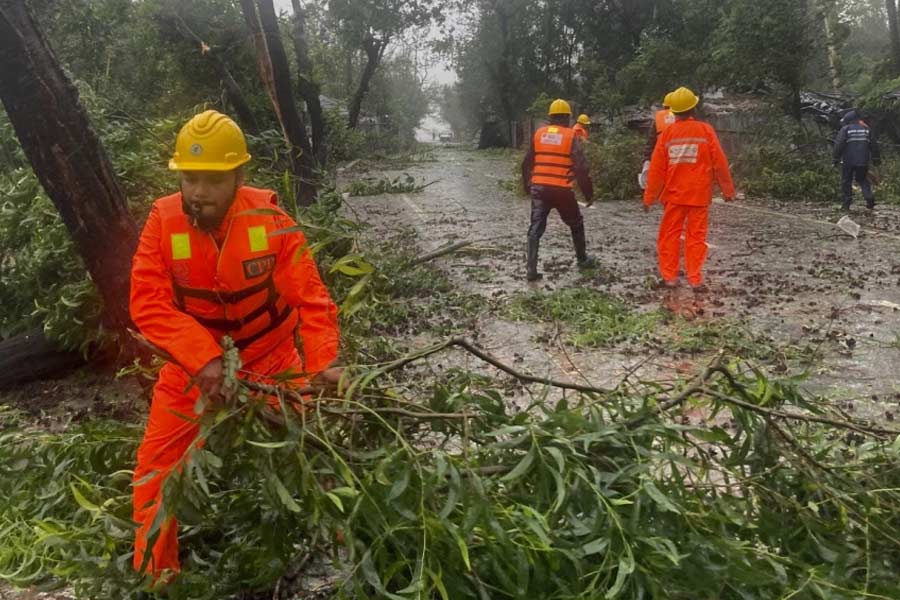 photo of Cyclone Mocha