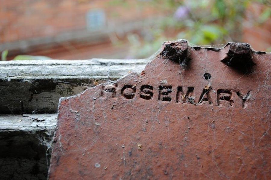 হাসপাতাল বন্ধ হয়ে যাওয়ার পর হাসপাতাল চত্বরে ভাঙচুর এবং চুরির ঘটনা বাড়তে থাকে। এমনকি, ‘অজানা কারণে’ হাসপাতালটিতে আগুনও লেগে যায়।