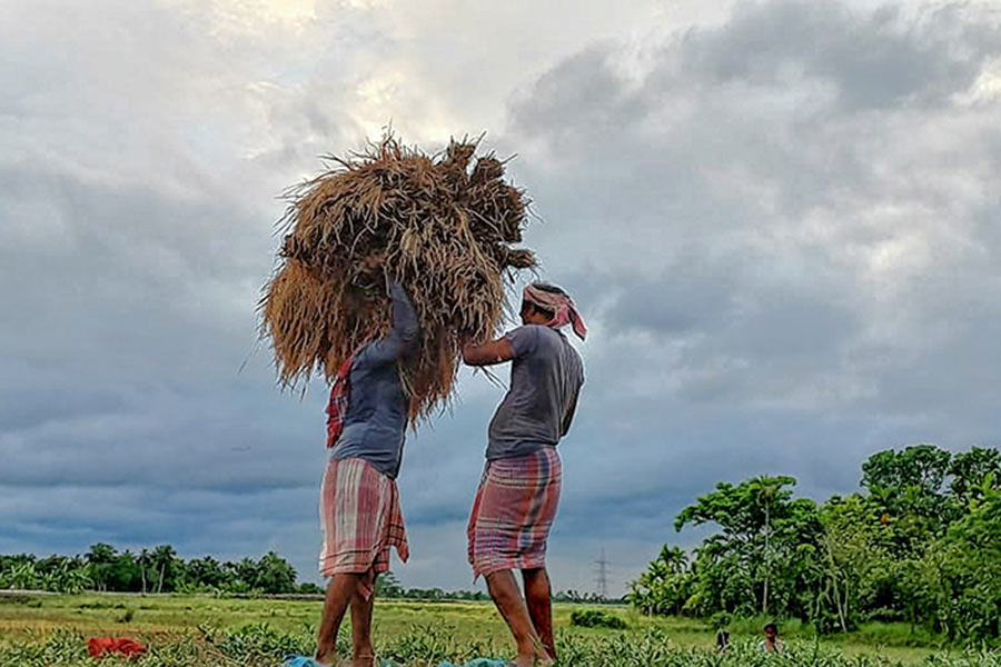 farmers carrying their crops