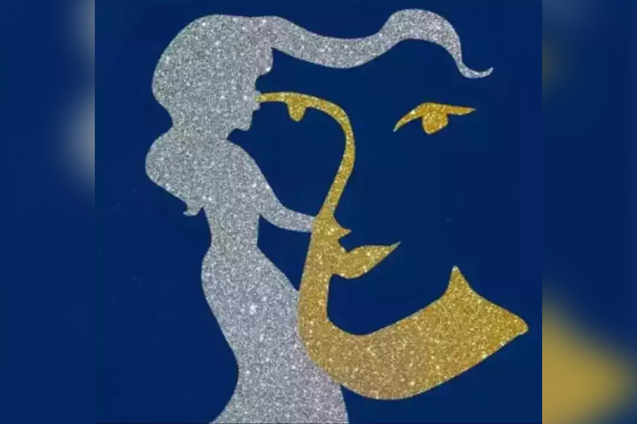 এই ছবিটা ভাল করে দেখুন তো।