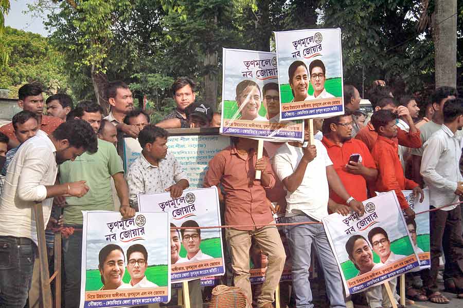 An image of TMC Workers 