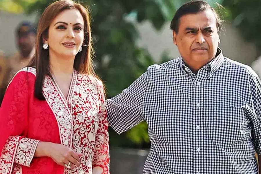 Meet Mickey Contractor