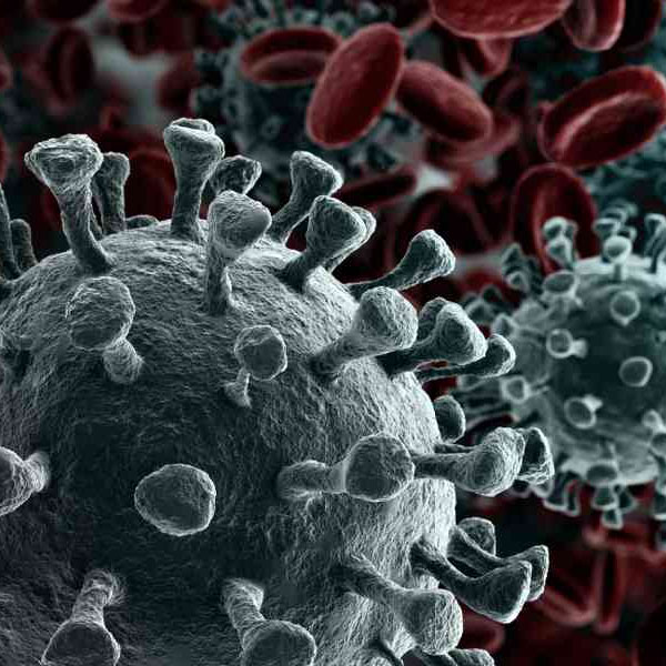 রিতেশা বলেন, ‘‘২০২০ সালের জুনে সরকারি চাকরি থেকে অবসর নেন মা। তার কিছু দিন পরেই কোভিডে আক্রান্ত হয়ে মৃত্যু হয় বাবার। সে সময় মনে হত, সব এলোমেলো হয়ে গিয়েছে।’’