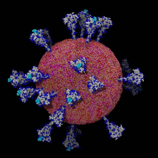 রিতেশাদের পরিবারে বিপদ আরও এসেছিল। তাঁর কথায়, ‘‘বাবা যে দিন মারা গিয়েছিলেন, সে দিনই মায়ের কোভিড সংক্রমণ ধরা পড়েছিল। সময়টা কঠিন হলেও শোকের সময় ছিল না।’’
