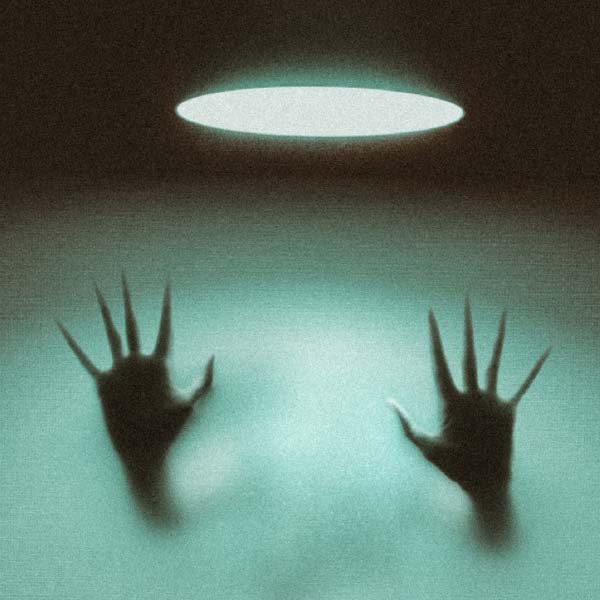 তবে, ‘বীরানা’ ছবির গল্প সম্পূর্ণ কল্পনাপ্রসূত নয়। বরং পরিচালক শ্যামের জীবনের ঘটনাই এই ছবিতে ফুটে উঠেছে। ‘প্রেতাত্মা’র উপস্থিতি টের পেয়েছিলেন বলে দাবি করেন শ্যাম। এই ঘটনার প্রভাব শ্যামের জীবনে ছিল বহু বছর।