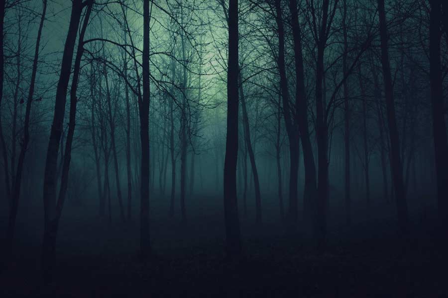 শ্যাম জানান, ১৯৮৩ সালে ‘পুরানা মন্দির’ ছবির শুটিং করতে মহাবালেশ্বর গিয়েছিলেন তিনি। ছবির শুটিং শেষ হয়ে যাওয়ার পর তারকাদের সঙ্গে কর্মীদলের সকল সদস্য মুম্বই ফিরে যান।