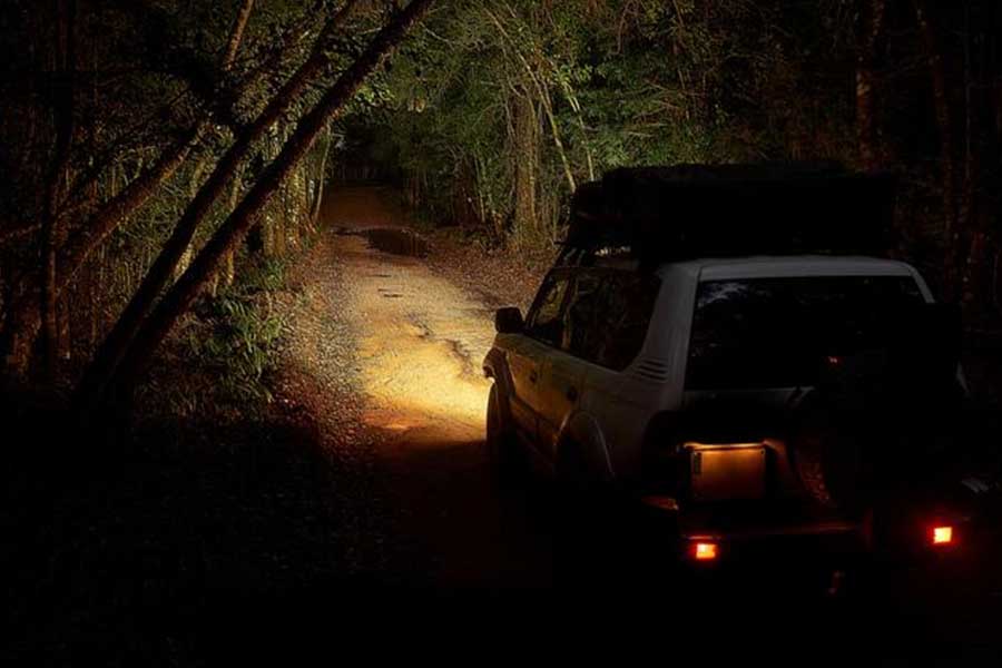 শ্যাম গাড়ি থামানোর পরেই নাকি দরজা খুলে গাড়ি থেকে নেমে পড়েন ওই মহিলা। তার পর ঘুটঘুটে অন্ধকারের মধ্যে মিলিয়ে যান তিনি। পুরো ঘটনাটি এত তাড়াতাড়ি ঘটে যে, থতমত খেয়ে যান শ্যাম। তাঁর শরীরের ভিতর দিয়ে বয়ে যায় শীতল স্রোত।