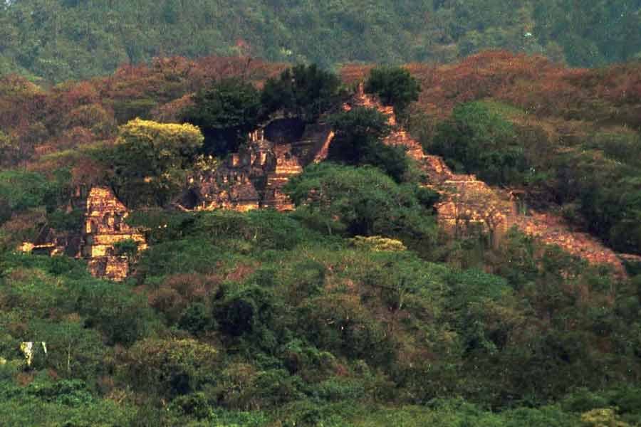 5000 Years' old civilization from Mesolithic age found in Gujarat’s Devgadh Baria 