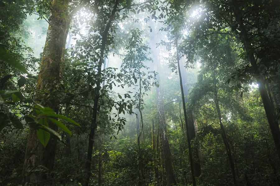 5000 Years' old civilization from Mesolithic age found in Gujarat’s Devgadh Baria 