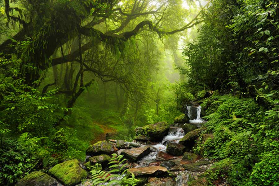 5000 Years' old civilization from Mesolithic age found in Gujarat’s Devgadh Baria 