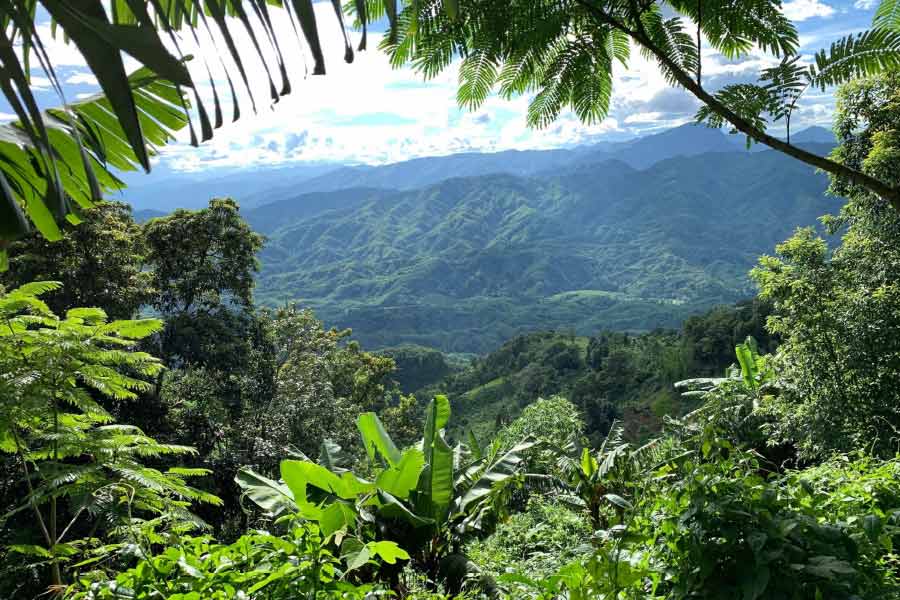 5000 Years' old civilization from Mesolithic age found in Gujarat’s Devgadh Baria 