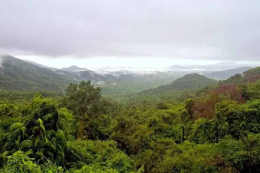 5000 Years' old civilization from Mesolithic age found in Gujarat’s Devgadh Baria 