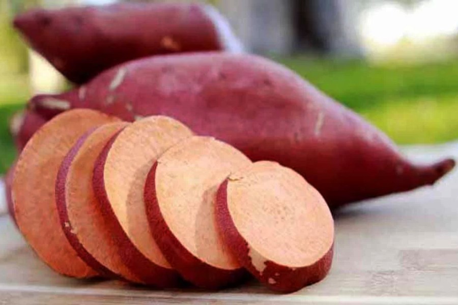 Image of sweet potato