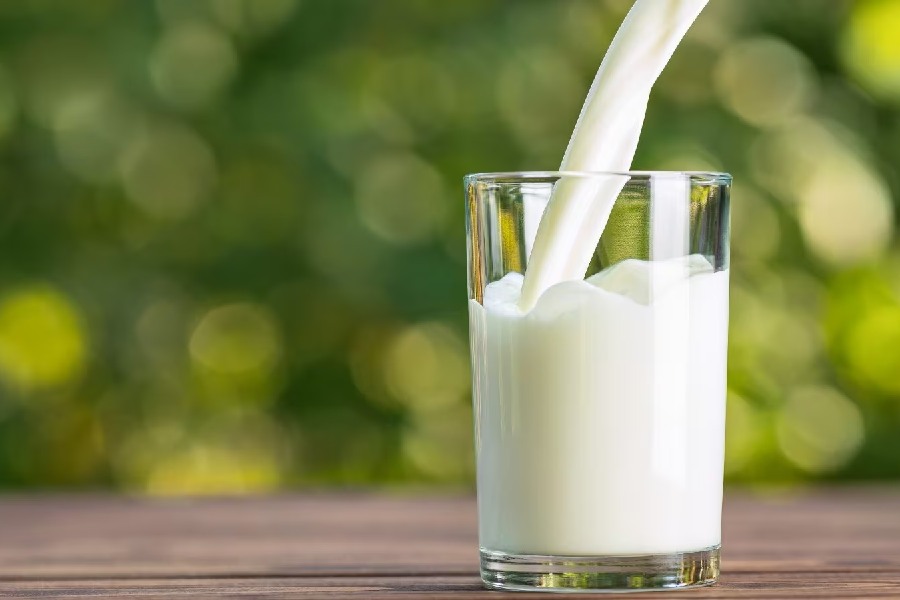 Image of Milk.