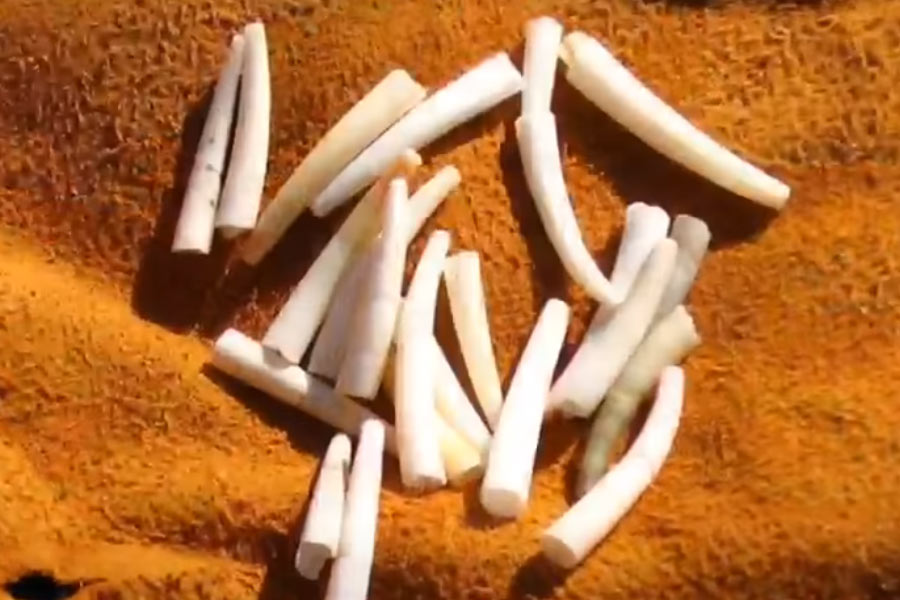 image of things found from varna necropolis 