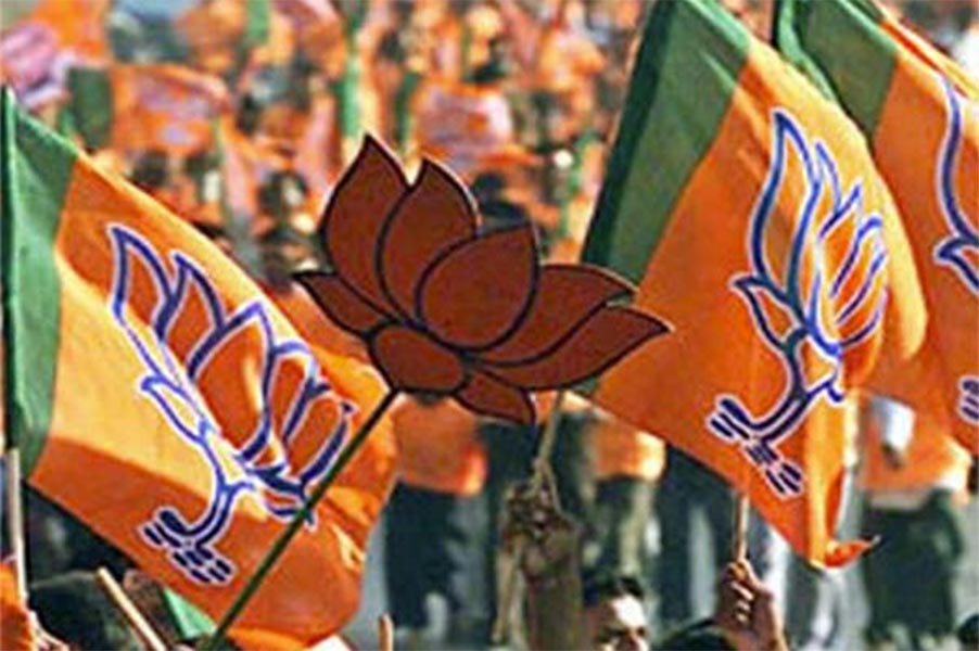 An image of BJP flag