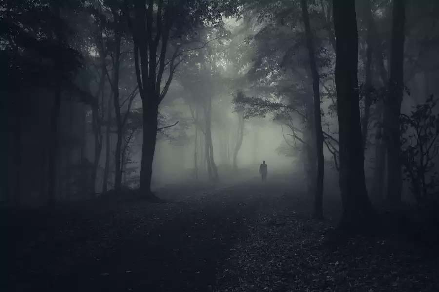 আয়েশা ভিলার ইতিহাস যা জানা যায়, তা এই— মুম্বইয়ের এক খ্রিস্টান পরিবার এই বাড়িটি কেনে। পরিবারের সদস্য বলতে স্বামী, স্ত্রী এবং তাঁদের ১৭ বছর বয়সি এক কন্যা। এই মেয়েটির নামই ছিল আয়েশা। ধনী এই পরিবারের একটি রোলস রয়েস ছিল। এক রাতে আয়েশা ভিলায় কিছু লোক হামলা চালায়। আয়েশার সামনেই তার বাবা-মাকে খুন করে এবং আয়েশার উপর অত্যাচার করে। এই ঘটনার তিন-চার দিন পরে আয়েশা নিখোঁজ হয়ে যায়। যারা তাদের বাড়িতে হামলা চালিয়েছিল বলে অভিযোগ, তাদের কাউকেই পরে আর খুঁজে পাওয়া যায়নি।