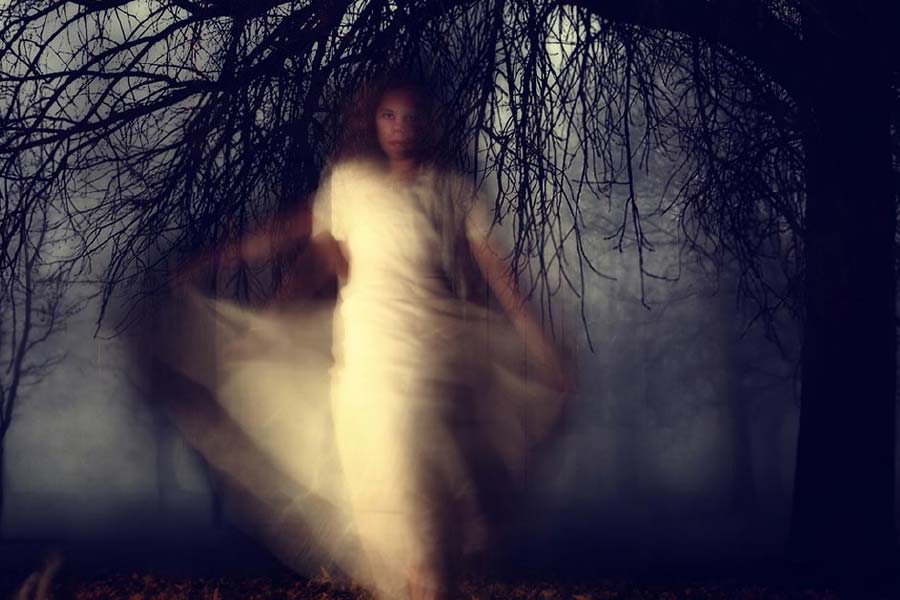 আশ্চর্যের কথা এটাই যে, আজ পর্যন্ত আয়েশা ভিলার একটি আসবাবও চুরি যায়নি। অনেকে বলেন, আয়েশা ভিলার ভিতরে ঢুকে যাঁরা ছবি তুলতে গিয়েছেন, তাঁরা দু’টির বেশি ছবি তুলতে পারেননি। ঠিক দু’বার শাটার টেপার পরই ক্যামেরা বন্ধ হয়ে গিয়েছে বা বিগড়ে গিয়েছে। তবে অনেকেই আয়েশা ভিলার ভিডিয়ো তুলেছেন। তার মধ্যে বেশ কিছু ইউটিউবে আপলোডও হয়েছে। সেখানে ক্যামেরা বন্ধ হওয়ার কোনও লক্ষণই দেখা যায়নি।