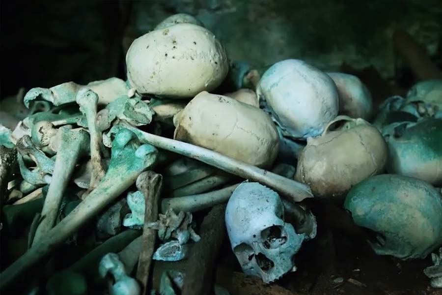 প্রথম বার দেখে চিনা অধ্যাপকের মনে হয়েছিল, সেগুলি বাচ্চাদের কঙ্কাল। পরে বুঝেছিলেন, সেগুলি প্রাপ্তবয়স্কদের।