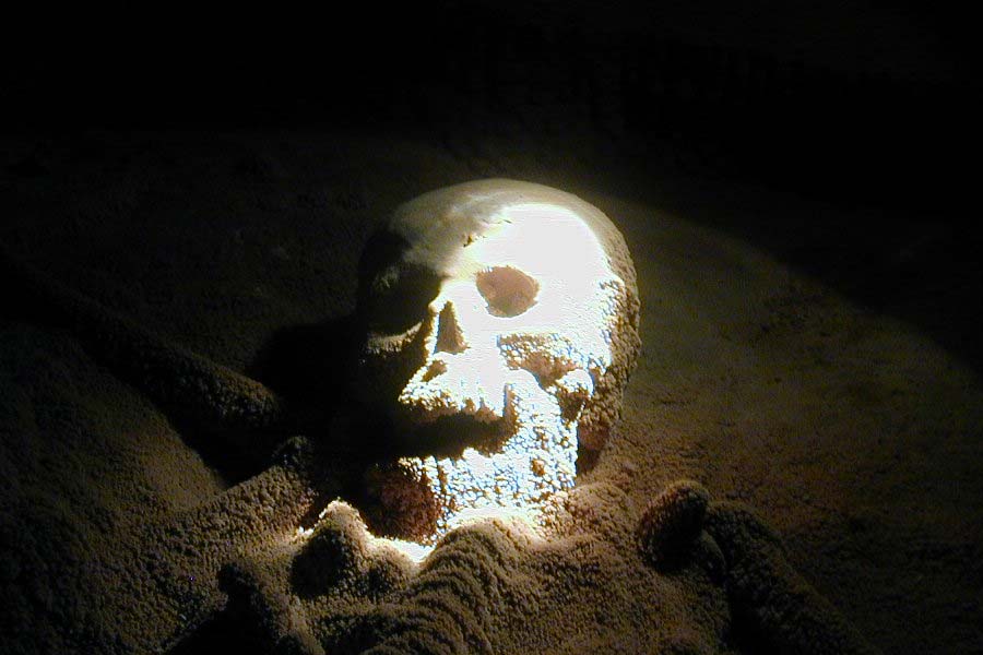 পাথরের চাকতির গায়ে খোদাই করা জিনিসগুলি দেখে অবাক হন ইতিহাসবিদেরা। তাঁদের একাংশ মনে করেন, এই পাথরের চাকতিগুলি ১২ হাজার বছর আগের। এ বার অনেকেই প্রশ্ন করেন, অত বছর আগে চাঁদ, সূর্য, তারার কথা কী ভাবে জানলেন মানুষজন? তা নিয়ে বিতর্ক রয়েছে ঢের।