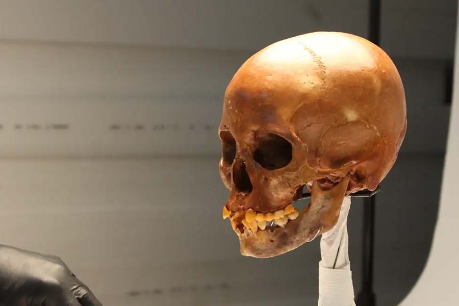 এই অনুসন্ধানের পর দেশে ফিরে অধ্যাপক তেই একটি রিপোর্ট প্রকাশ করেন। তাতে তিনি দাবি করেন, গুহায় মেলা ওই কঙ্কাল আসলে কোনও গোরিলা বা হিমালয় পার্বত্য অঞ্চলের বাসিন্দাদের।