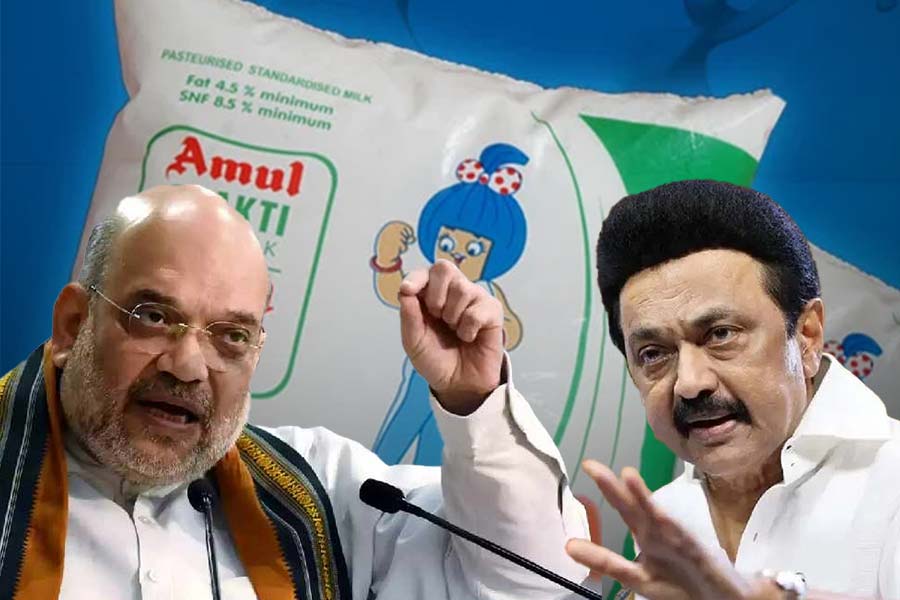 MK Stalin tells Amit Shah to direct dairy major Amul to refrain from milk procurement in Tamil Nadu