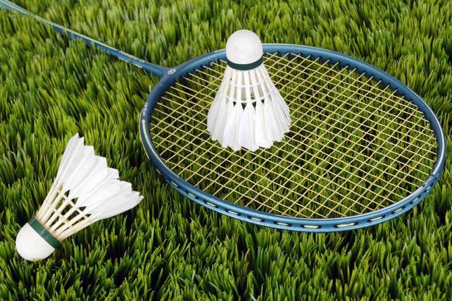 Representative image of badminton