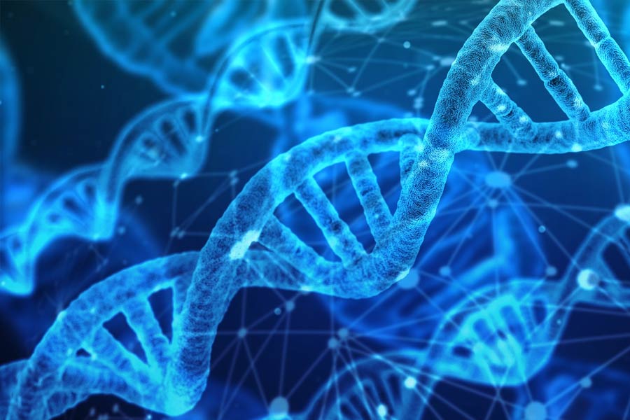 Representational picture of DNA