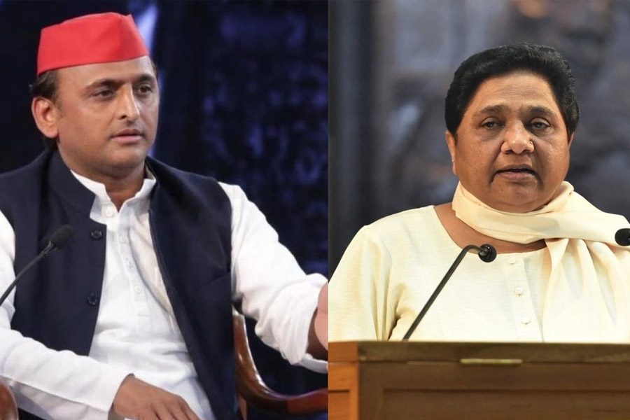 image of akhilesh maya 