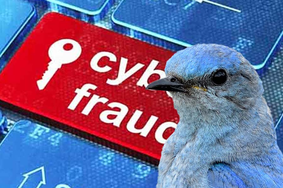 An image of Cyber fraud