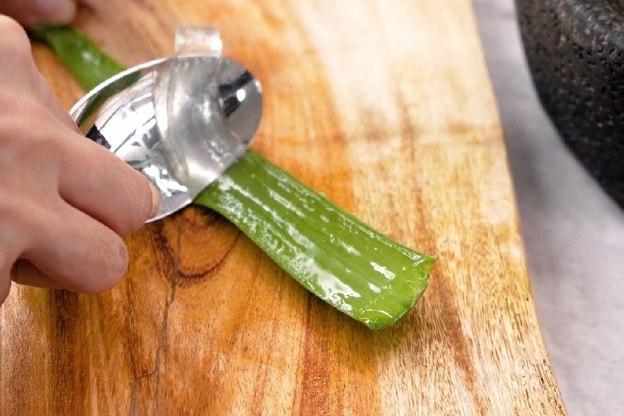Image of aloe vera