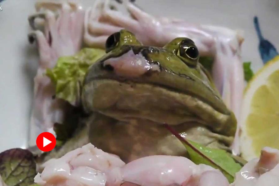 Video of a Japanese man find frog inside food he ordered from famous restaurant