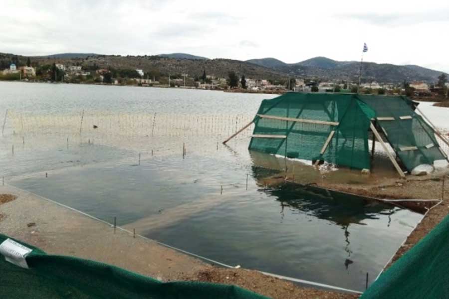 Greece Treasures and hidden underwater building found in Salamis island