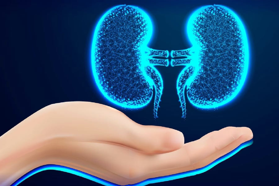 চিকিৎসকেরা জানান, একটি কিডনি পেলে বেঁচে যেতে পারে ছোট্ট এমি। শুনে মা অ্যান্ডি আর দ্বিধা করেননি। সঙ্গে সঙ্গে জানিয়ে দেন, মেয়েকে কিডনি দেবেন তিনি।