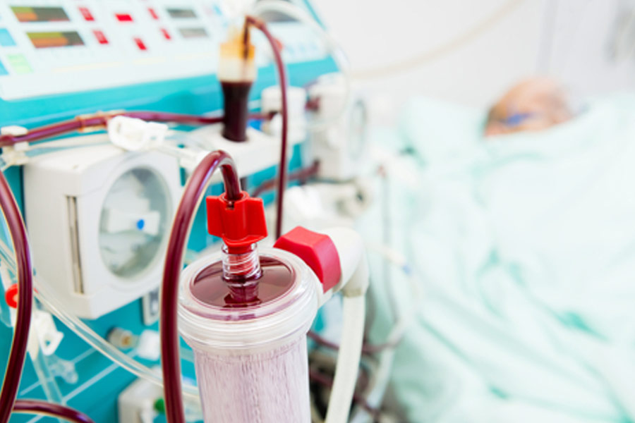 চিকিৎসকেরা জানান, যত দিন না কিডনি প্রতিস্থাপন হচ্ছে, তত দিন ডায়লিসিস করাতে হবে এমির। ছ’মাস বয়স পর্যন্ত হাসপাতালেই ভর্তি ছিল এমি। তার পর ছাড়া পায়।